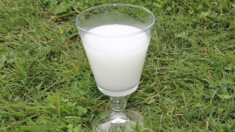 Kokosmilch selbst gemacht aus Kokosraspeln von MissShrek