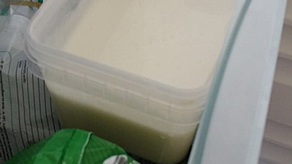 Erfrischendes und schnelles Zitroneneis von BellaCucinare