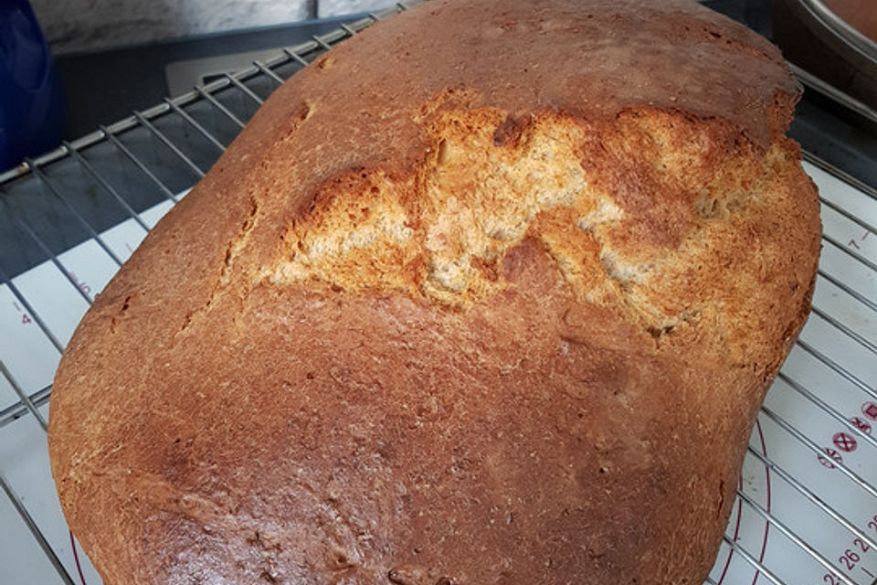 Dinkel-Vollkornbrot mit Sauerteig