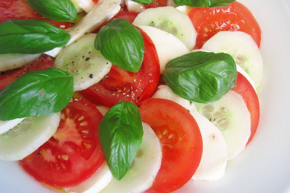 Tomaten-Gurken-Mozzarrella Salat