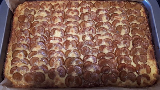Elsässer Mandel-Mirabellen-Kuchen von Atthena