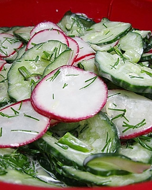 Gurken-Radieschen-Salat mit einem erfrischendem Jogurthdressing