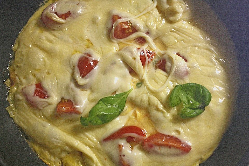 Käse-Omelette Käse-Omelette