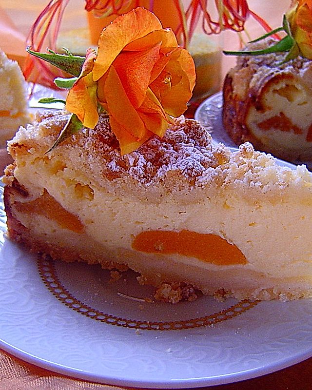 Aprikosen-Quarkkuchen