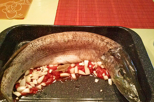Hecht aus dem Ofen auf einem Tomatenbett von Thomas123kocht| Chefkoch