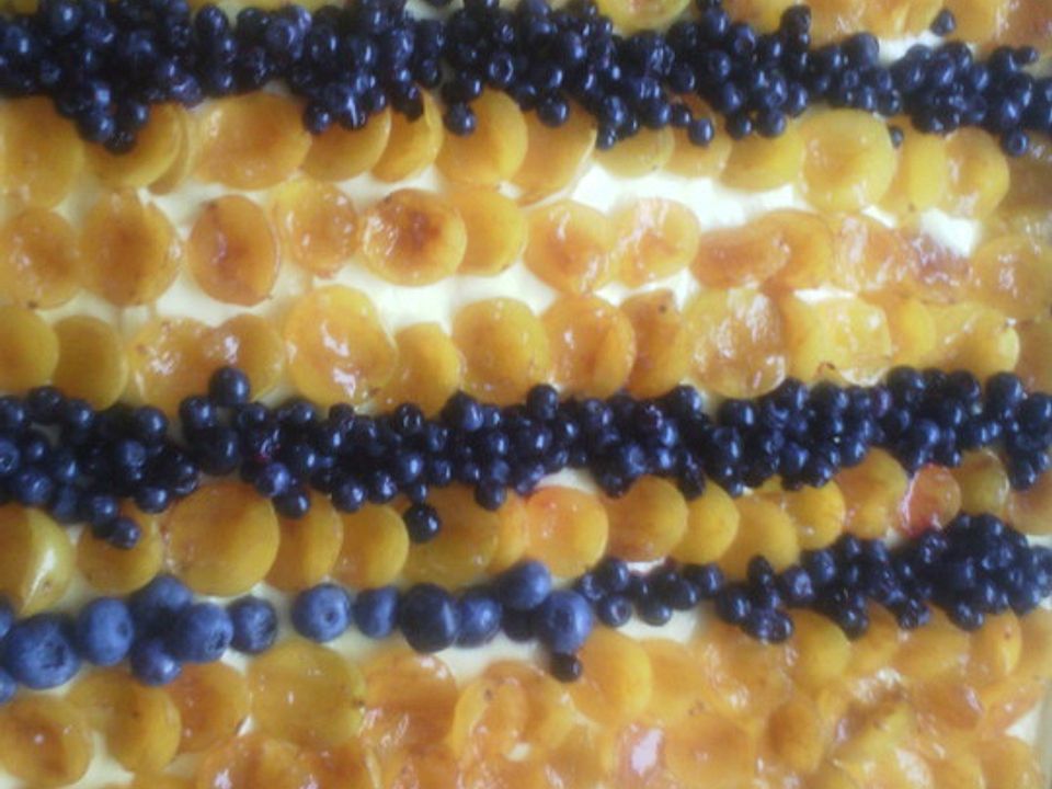Mirabellen-Pflaumen-Kuchen mit Heidelbeeren von Atthena| Chefkoch