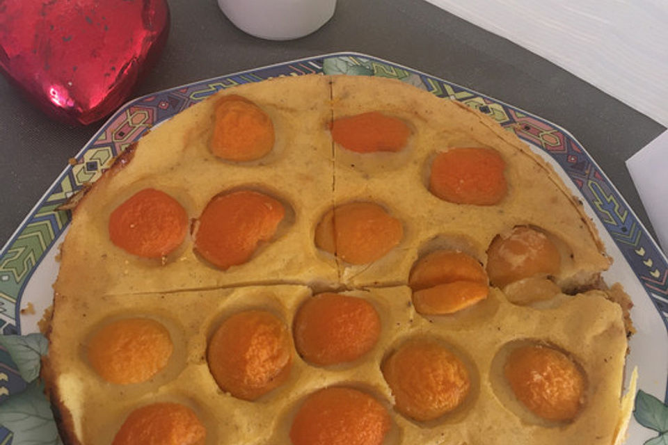 Veganer Kuchen "Käse Knusper"