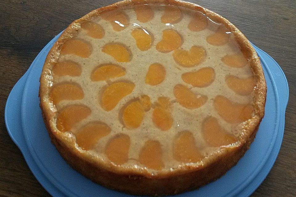 Veganer Kuchen "Käse Knusper"