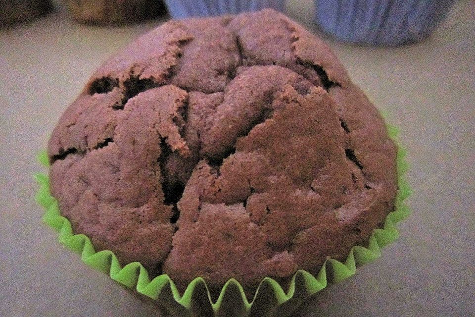 Double Chocolate Muffins