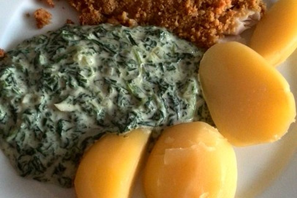 Fisch mit Curry-Kräckerkruste