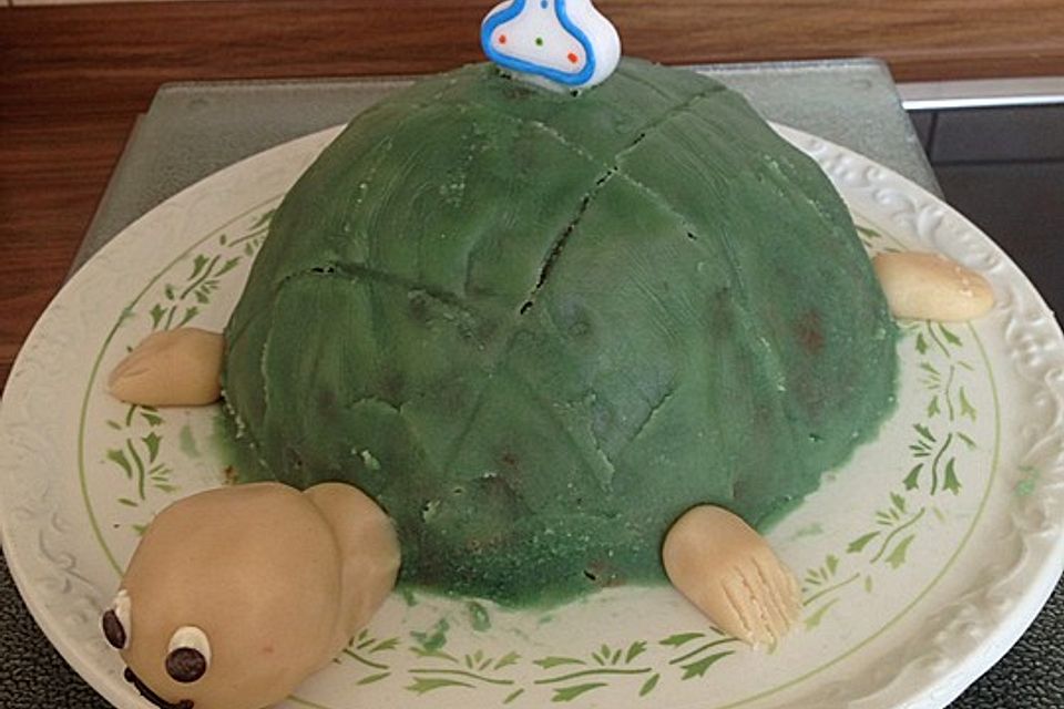 Schildkrötenkuchen