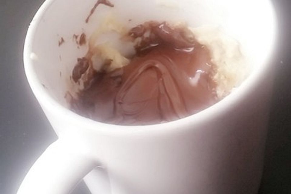 Mug Cake Oatmeal