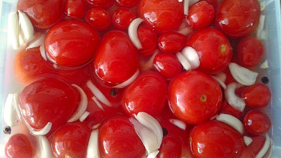 dünger für palmen kaufen Palmen Dünger Granulat 900g main image 1