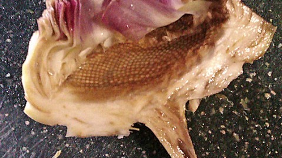 Gefüllte Artischockenböden von SiaBug Gefüllte Artischockenböden von SiaBug