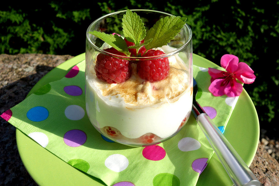 Feine leichte Himbeernachspeise mit frischen Himbeeren