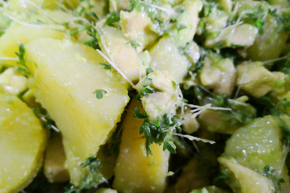 Kartoffel - Avocado Salat mit Kresse