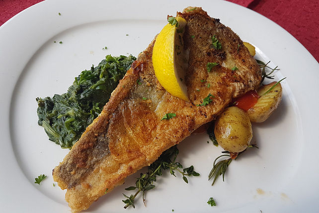 Zanderfilet auf Spinatbett von schleckigekatze| Chefkoch