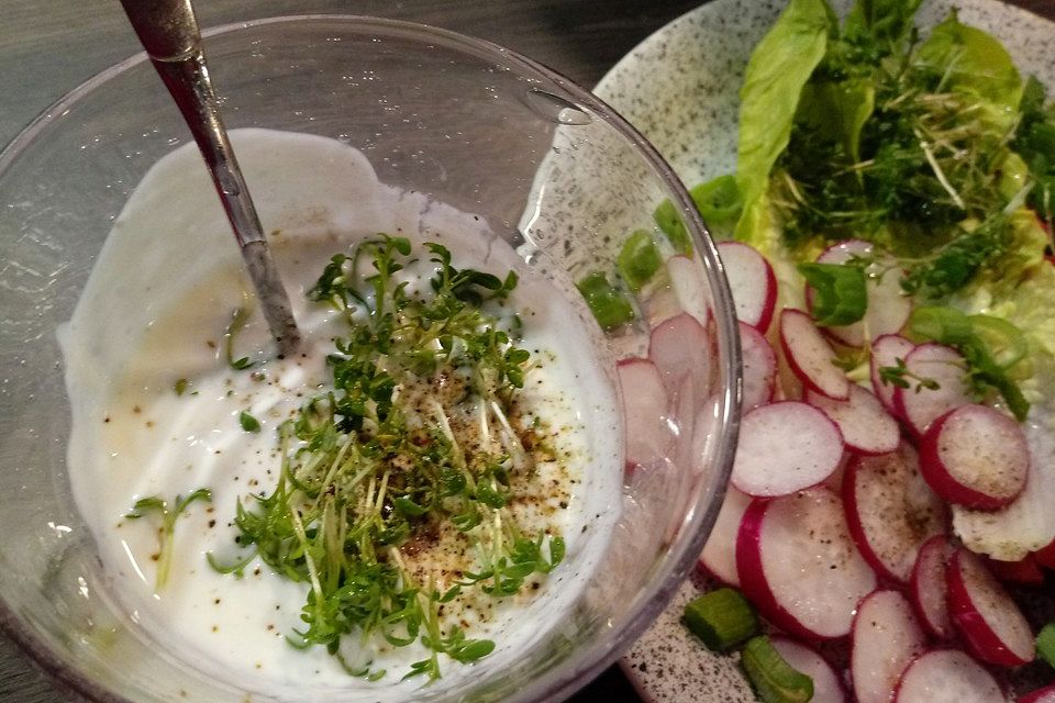 Leichter Joghurt-Quark-Dip mit buntem Gemüse