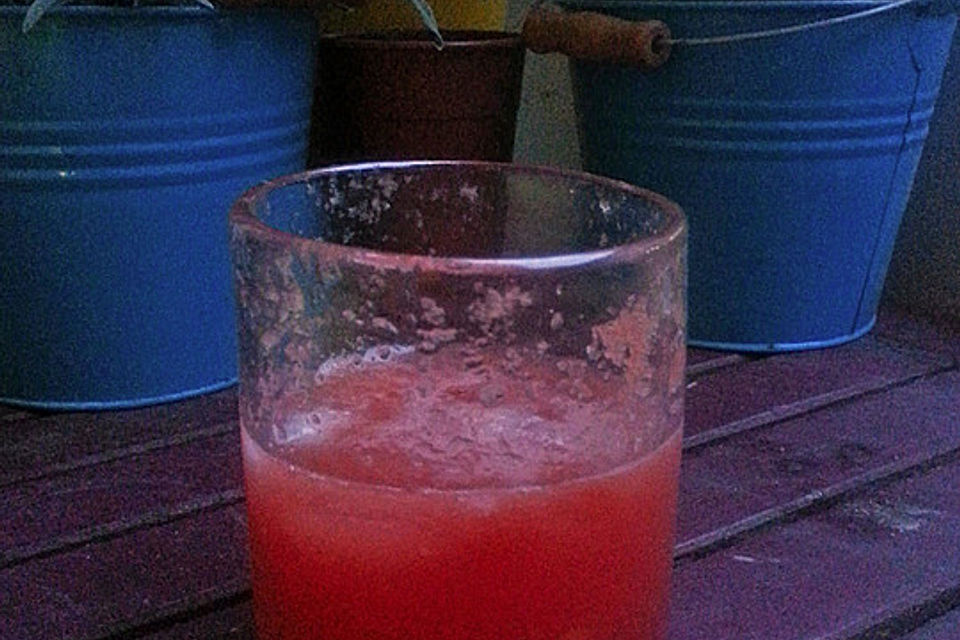 Sommerlicher Melonen-Drink