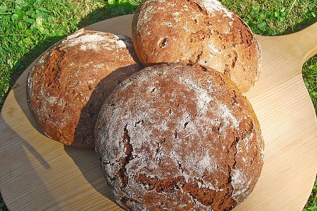 Roggenmischbrot von MaxMelone| Chefkoch