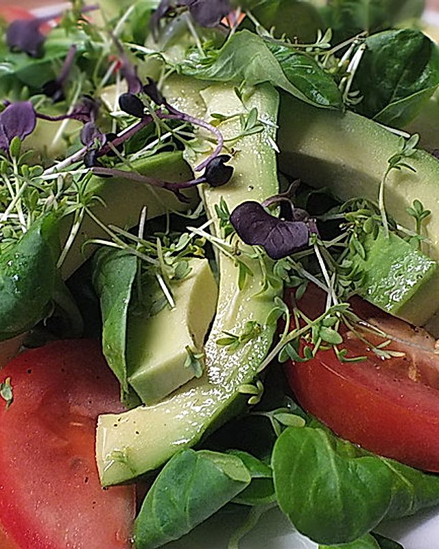 Sprossen-Avocado-Salat