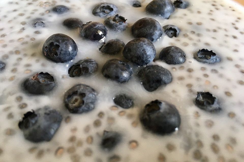 Chia-Kokos-Pudding