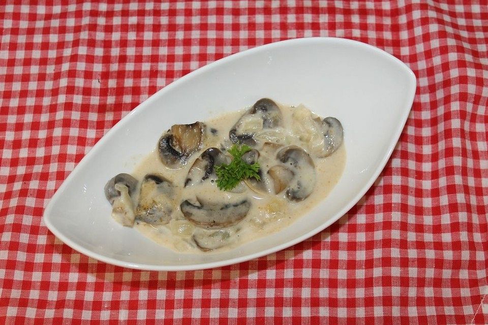 Cremige Champignonsauce Cremige Champignonsauce
