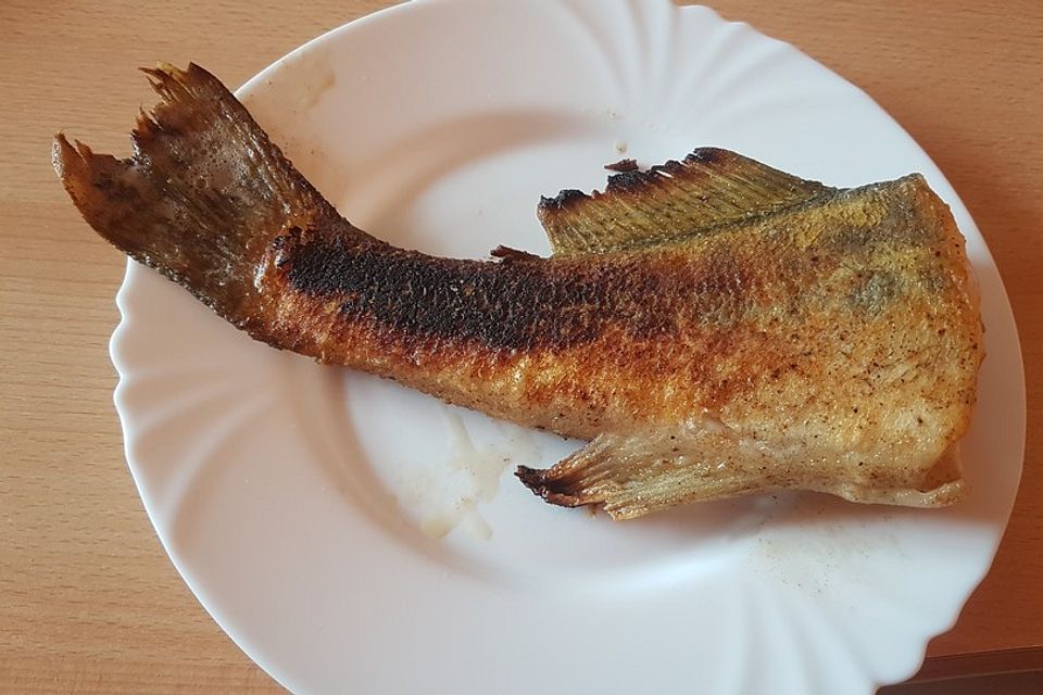 Knusprig gebratener Zander auf Meerrettichsauce