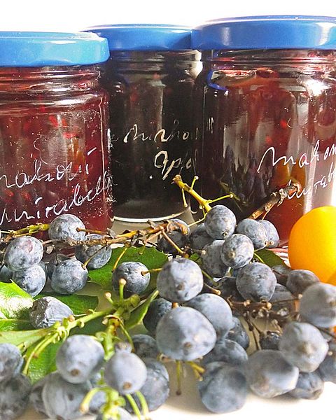 Mirabellenmarmelade Rezepte | Chefkoch