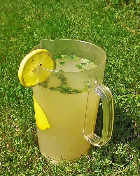 Zitronenmelisse Rezepte | Chefkoch