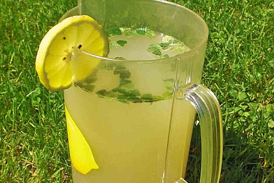 Zitronenlimonade mit Zitronenmelisse und Rohrzucker