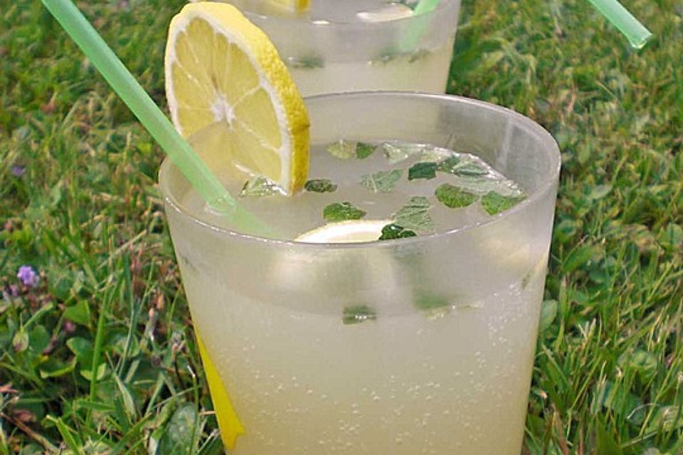 Zitronenlimonade mit Zitronenmelisse und Rohrzucker