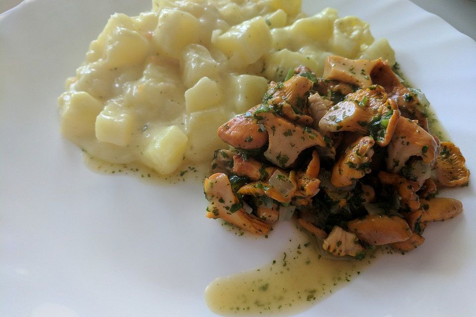 Kräuter-Pfifferlinge mit Bechamel-Kartoffeln