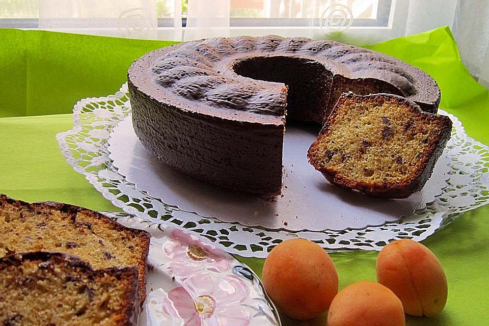 Aprikosen-Schoko-Kuchen