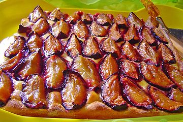 Aprikotierter Zwetschgenkuchen mit Vanillecreme