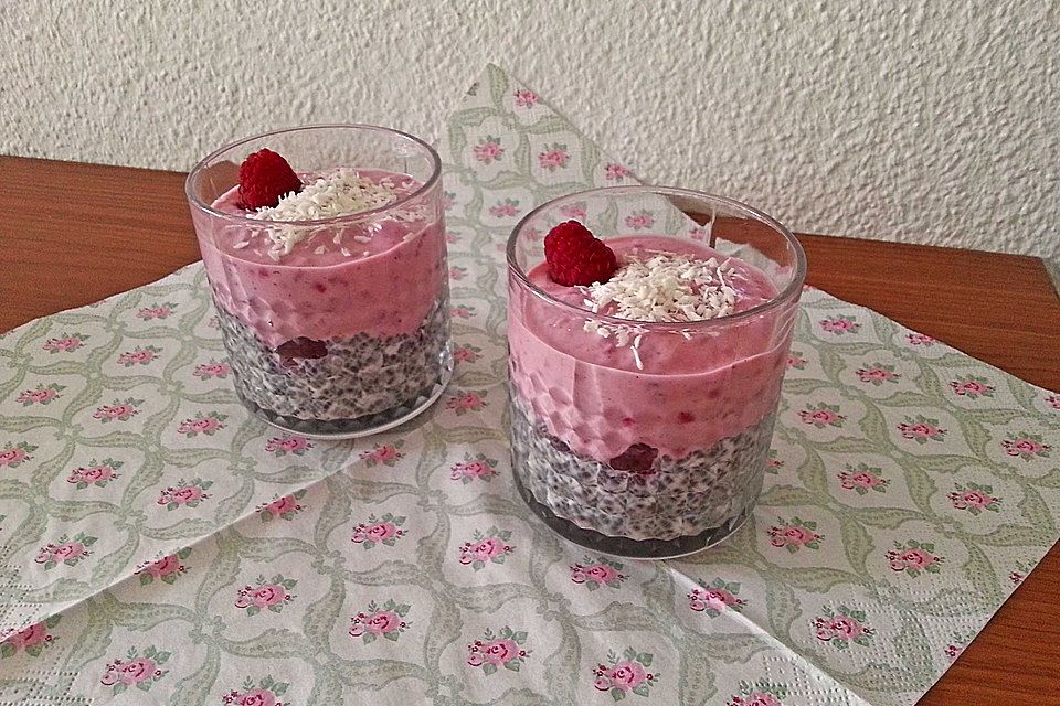 Leichter Chia-Kokospudding mit Himbeercreme