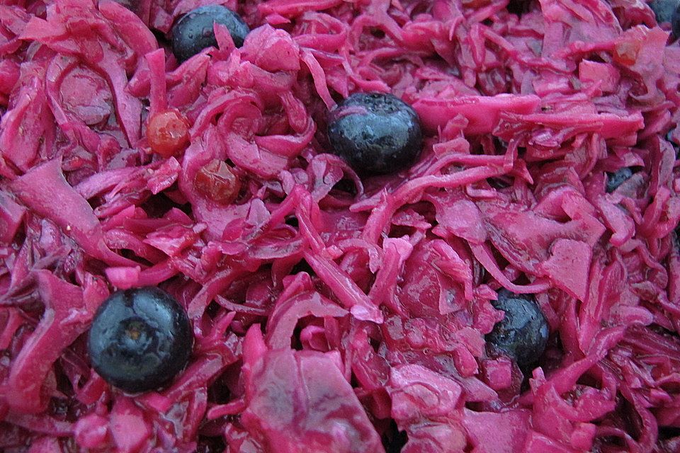 Rotkohlsalat mit Preiselbeeren