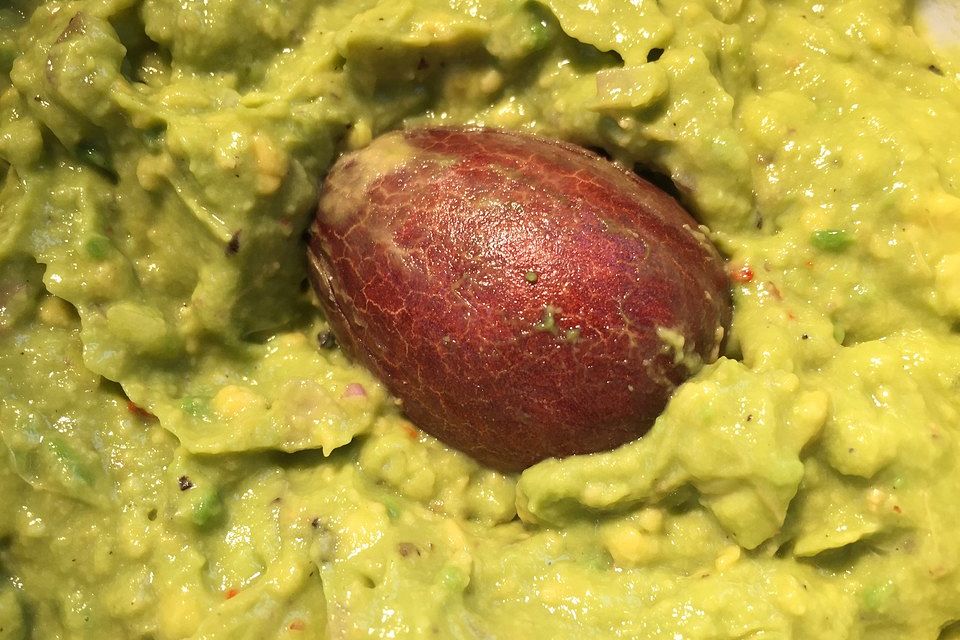 Avocado Creme mit Knoblauch Avocado Creme mit Knoblauch