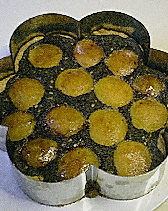 Mohnkuchen für eine Springform