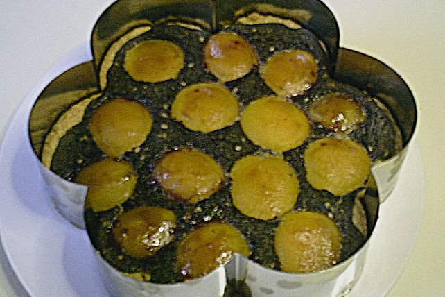 Mohnkuchen für eine Springform von AnkeP.| Chefkoch Mohnkuchen für eine Springform von AnkeP.| Chefkoch