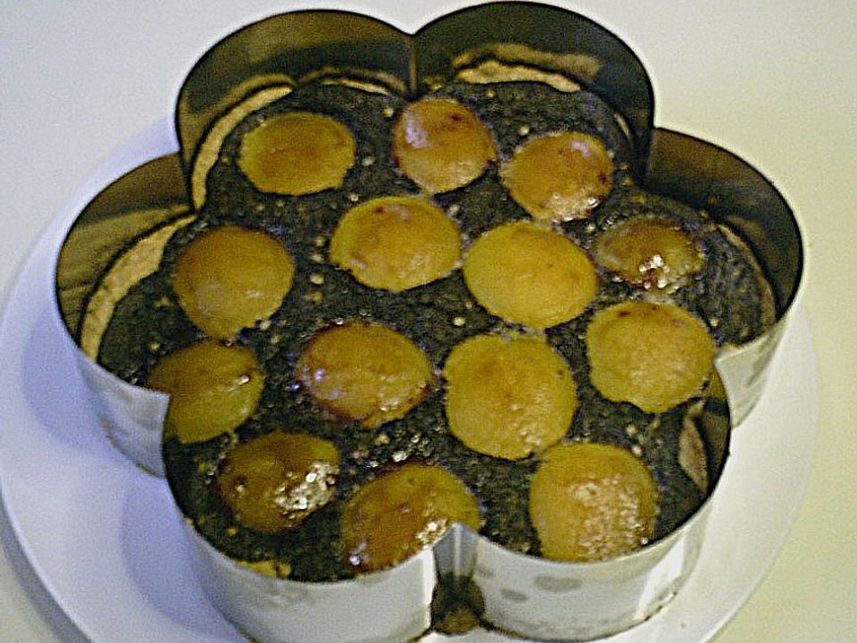 Mohnkuchen für eine Springform von AnkeP.| Chefkoch