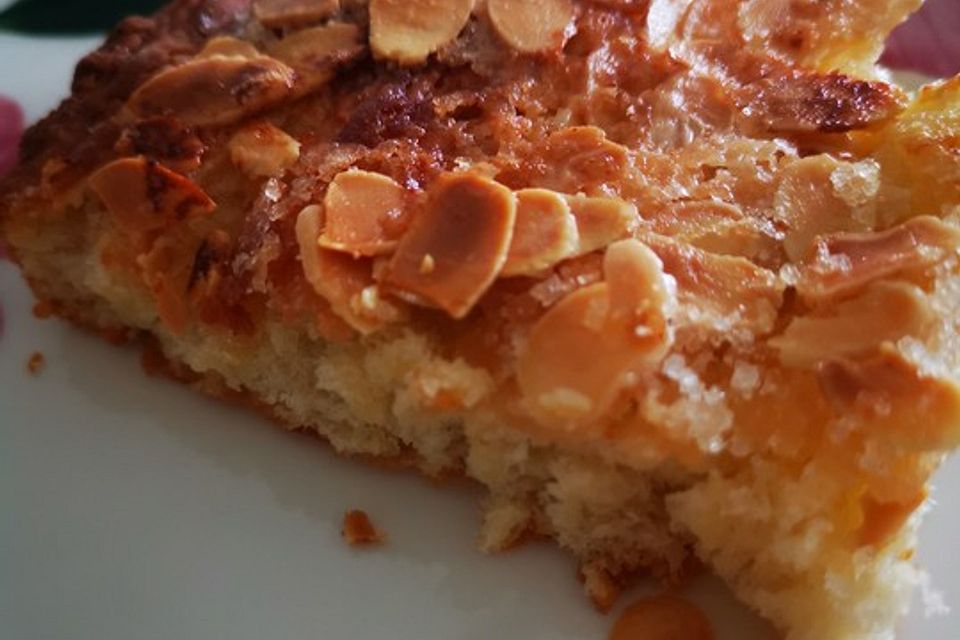 Blechkuchen - Blech-Butterkuchen Blechkuchen - Blech-Butterkuchen