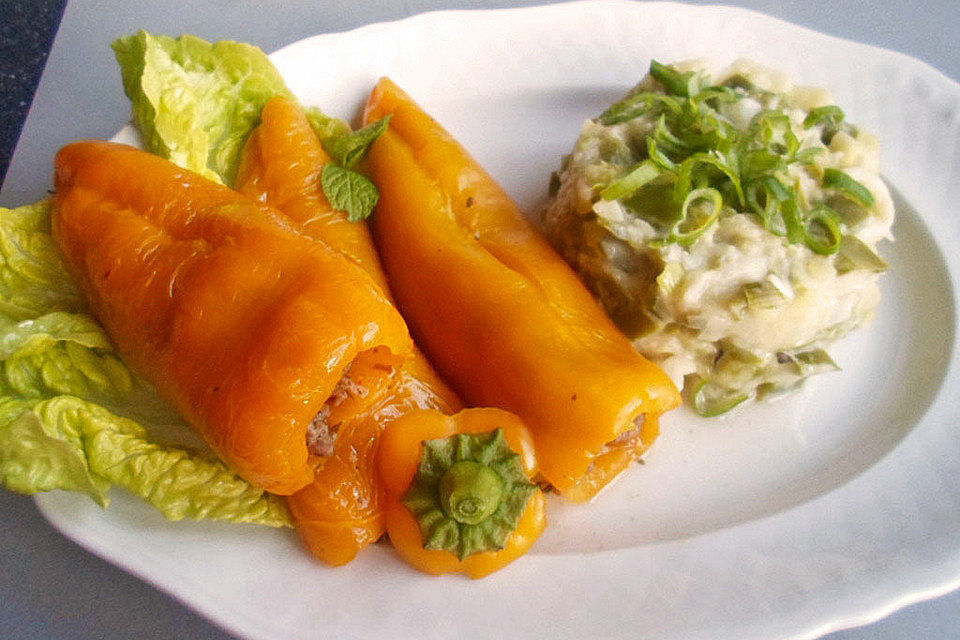 Single-Abendessen Nr. 110