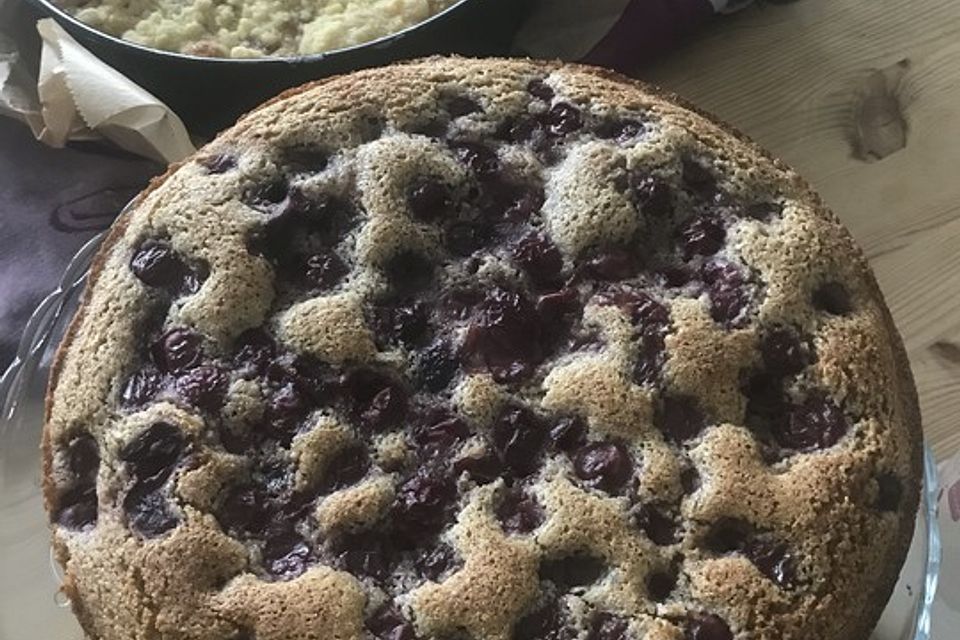 Veganer Zwetschgen-Grieß-Nuss-Kuchen