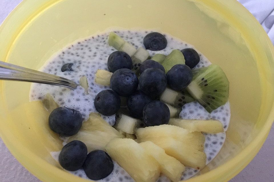 Chia-Samen-Pudding mit Obst