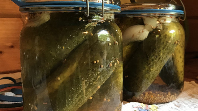 Eingelegte Gewürzgurken von PhilippErdmann