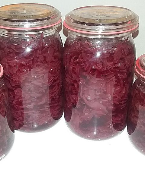 Rotkohl Rezepte - die besten Rezepte 2025 | Chefkoch