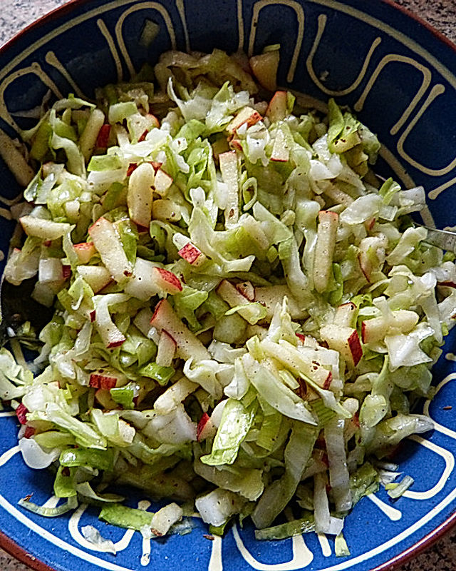 krümeltigers Krautsalat mit Spitzkohl, Porree und Apfel