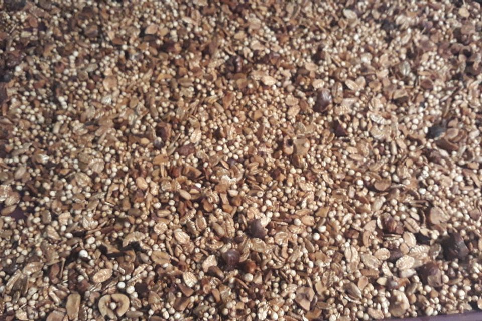 Knuspriges Granola