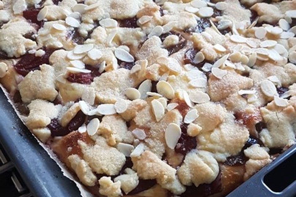 Pflaumenkuchen mit Pudding und Streusel